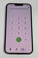 Apple iPhone 13 Pro Max 100%