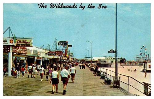 Wildwood postcard - wildwood,