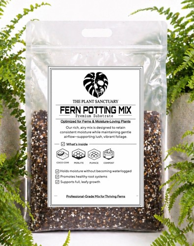Fern potting mix - potting, indoor