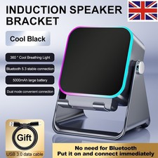 Wireless Induction Speaker