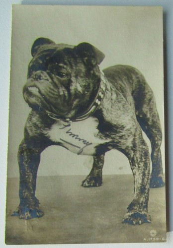 Champion rodney stone - champion,