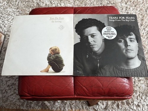 Tears for fears the - fears,