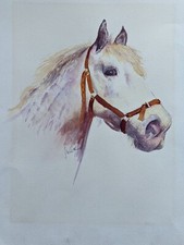Original watercolour painting