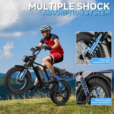 Electric Bike Adults 20 X4.0
