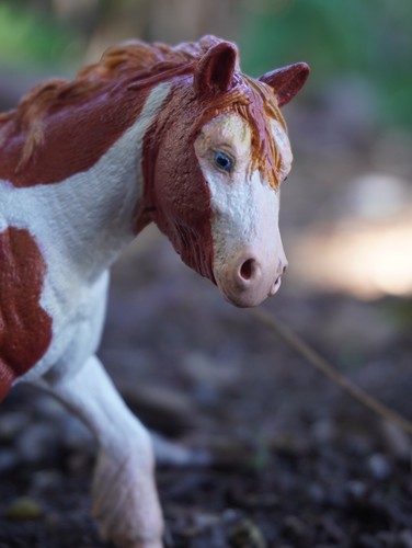 Schleich custom horse - custom,