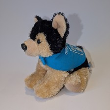 Aurora Guide Dogs Puppy In