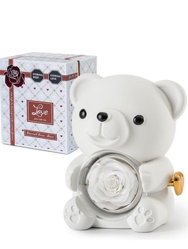 Teddy bear with preserved - teddy,