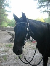 Silver Beaded Leather VBrow