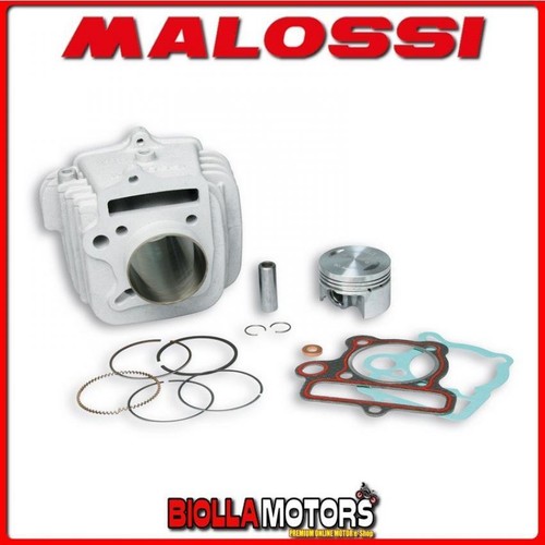 3113238 cylinder kit malossi - 3113238,