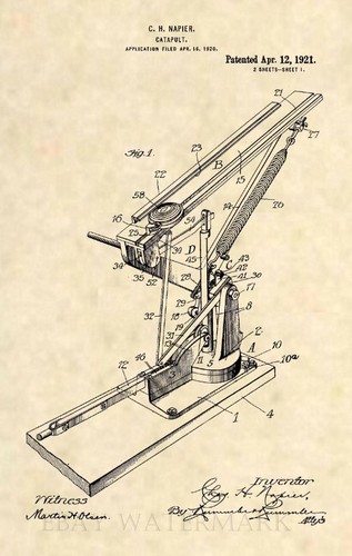 Official trap shooting clay - official,