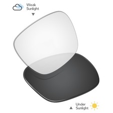 Transition Replacement Lens