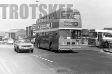 35mm Black and White Negative