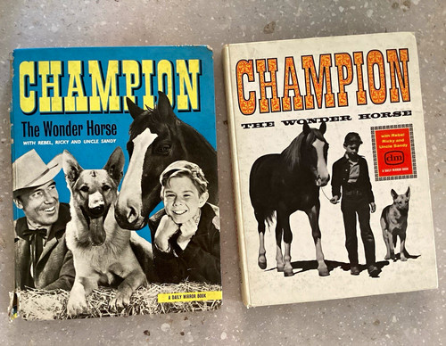 Daily mirror champion - daily, the