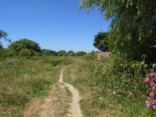 Photo 6x4 footpath ferring - photo, at