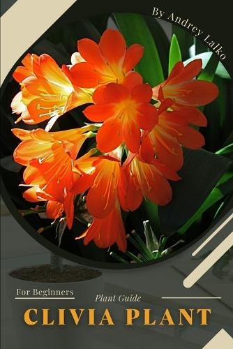 Andrey lalko clivia - lalko,