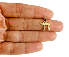 14K Solid Yellow Gold Chai