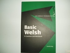 Basic Welsh: A Grammar and