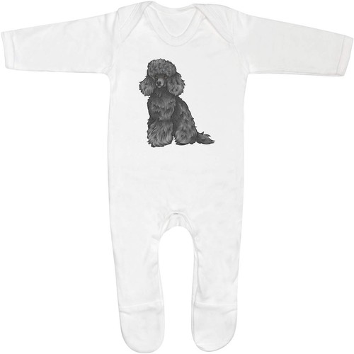 Black toy poodle baby - 'black,