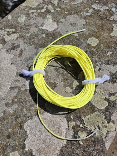 Scandi shooting head switch - scandi,