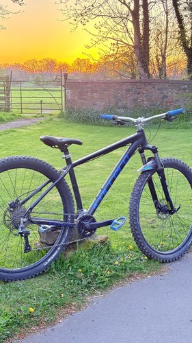 One inbred 29er mtb 29in - inbred,