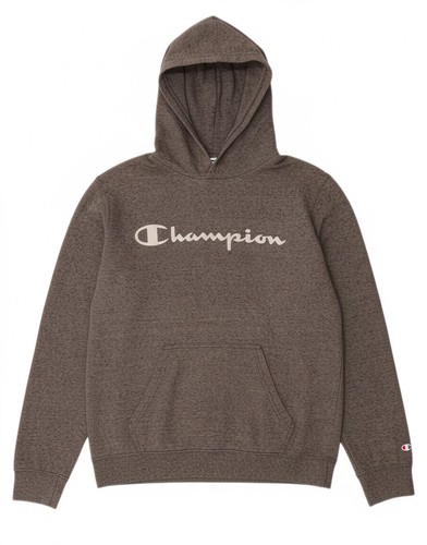 Champion mens graphic hoodie - mens,