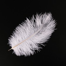 10PCS Large Ostrich Feathers