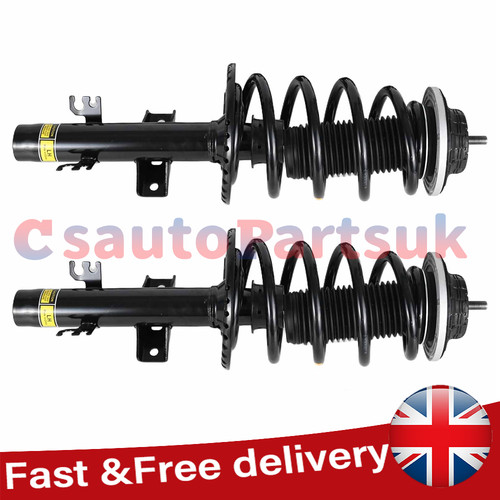 Pair complete struts - struts, assembly