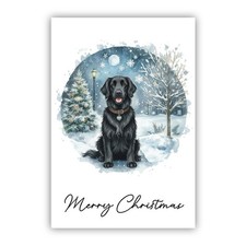 Black Flat Coated Retriever