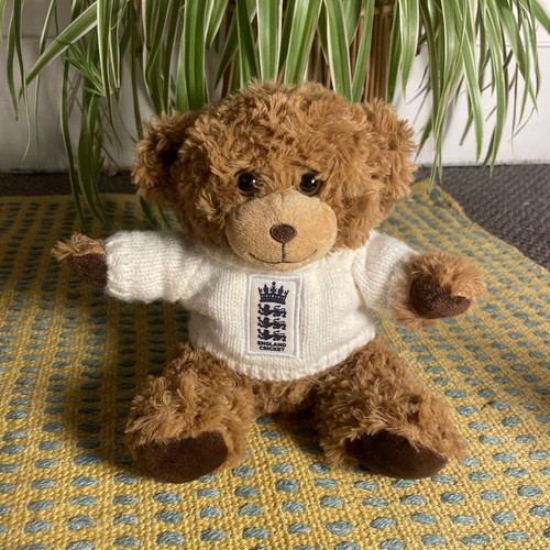 Ecb english cricket - ecb,