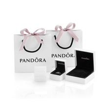 New genuine pandora - new, charm