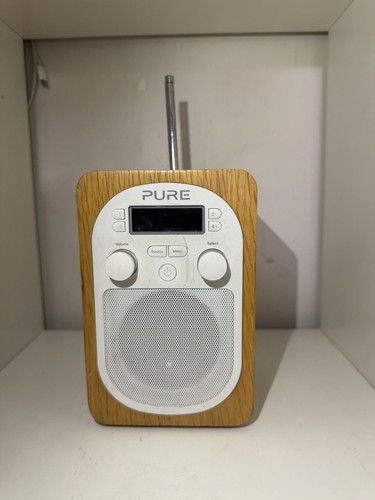 Pure evoke portable dab - pure,