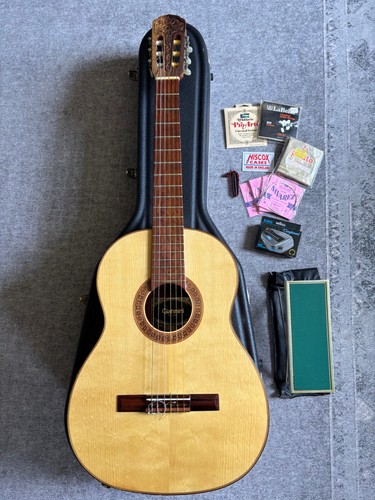 Giannini awn 1978 beautiful - giannini,