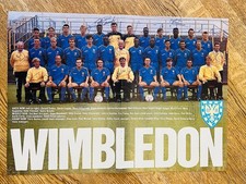 Hand Signed A3 Picture - Wimbledon FC 1989/90 season - 32 signatures