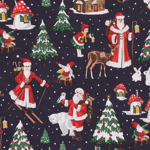 Jolly christmas wonderland - jolly,