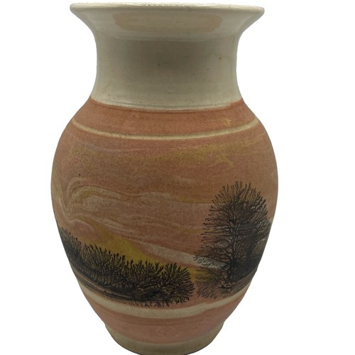 Vintage boscastle pottery vase - vintage,