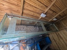 Aquarium fish tank - aquarium, 6ft