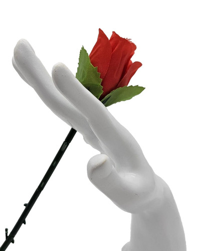 Magic trick appearing rose - appearing,