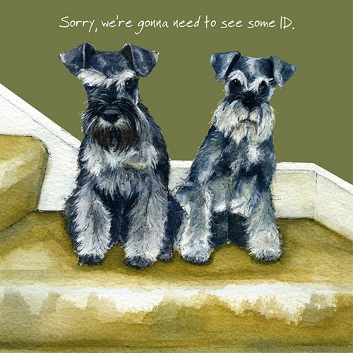 Schnauzers greeting card - schnauzers,