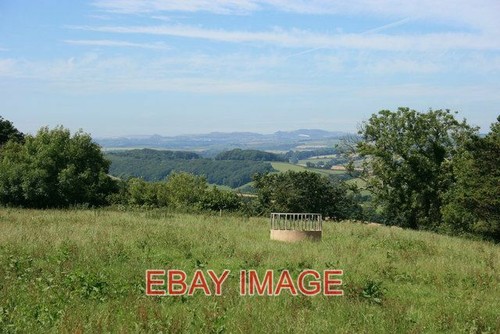 Photo cattle feeder with - cattle,