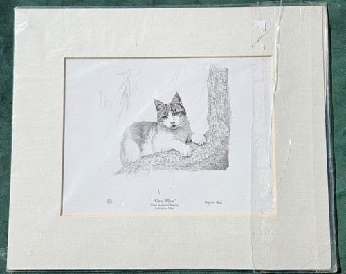 Cat willow limited - in, willow'