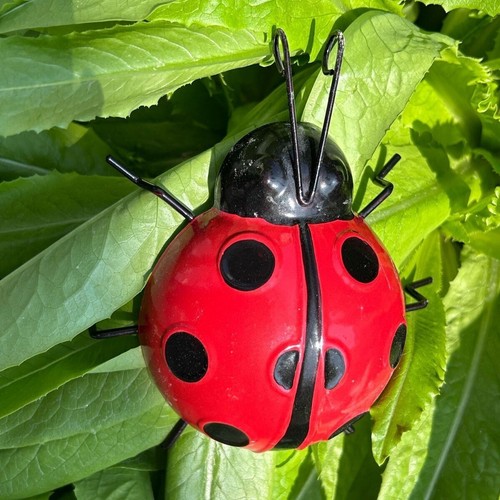 2pcs metal ladybird summer - metal,