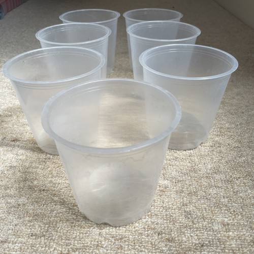 Orchid pots used once - ,