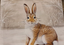 RABBIT Hare Watercolour