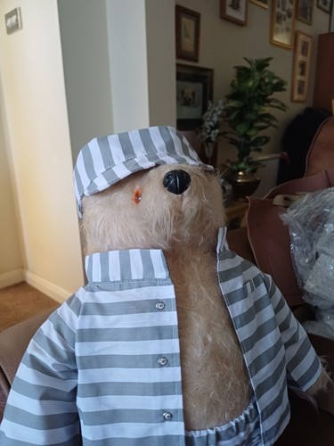 Gabrielle paddington bear - gabrielle,