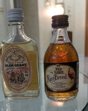 Cute Pair Wild Turkey Rare