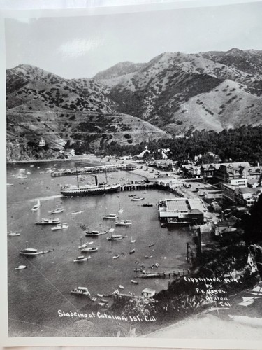 Reyes reprint catalina - p.v.,
