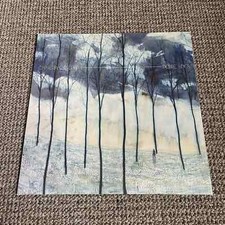 Camera Obscura – Desire