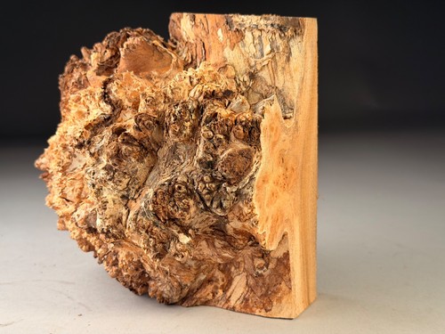 Amazing live edge - edge, burr