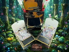 Pokémon TCG Elite Mystery Box