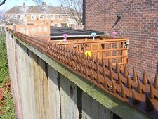 Fence spikes garden strips - fence,